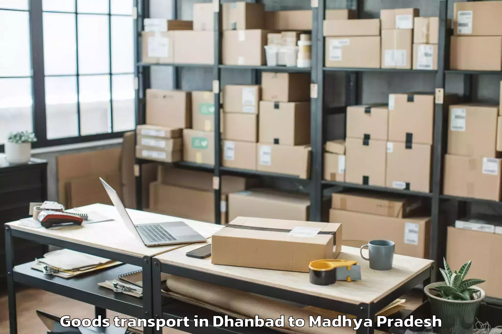 Trusted Dhanbad to Jaisinghnagar Goods Transport